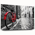 Acrylic print of a side-view bicycle in grayscale, ideal for bedroom or dining room art.
