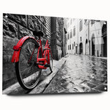 Acrylic print of a side-view bicycle in grayscale, ideal for bedroom or dining room art.