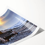 Extra large wall art featuring line art flowers in monochrome, rolled print format, suitable for large living room decor.