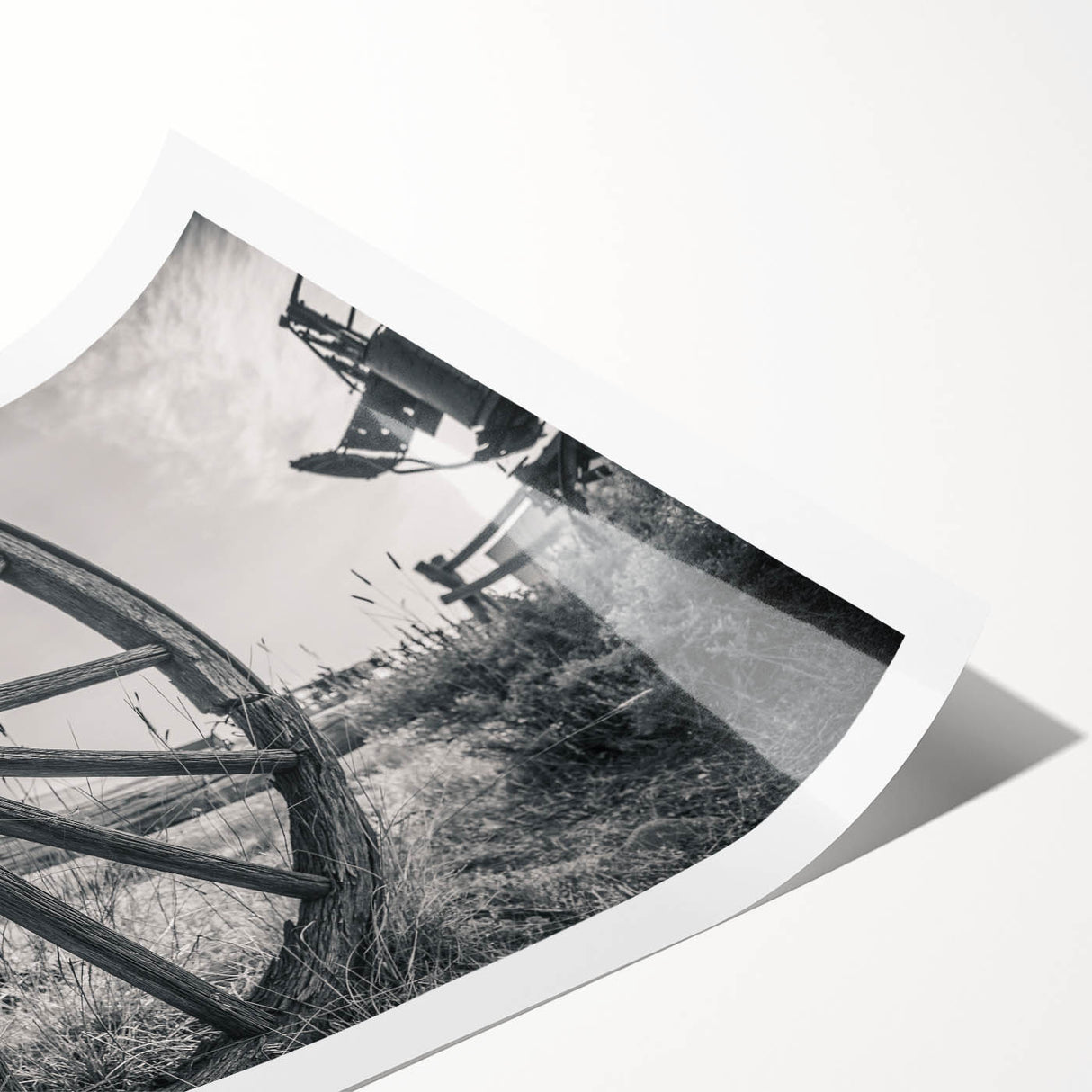 Extra large wall art featuring line art flowers in black and white, printed on rolled canvas.