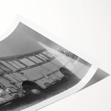 Extra large rolled print featuring a line art design of flowers in monochrome, ideal for large living room wall decor.