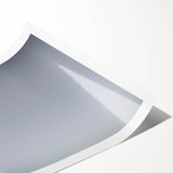 Extra large rolled print featuring line art flowers in soft pastel shades, suitable for large living room wall art.