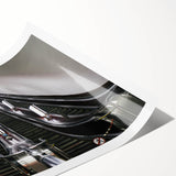 Extra large rolled print featuring a line art design of flowers in black on a white background.