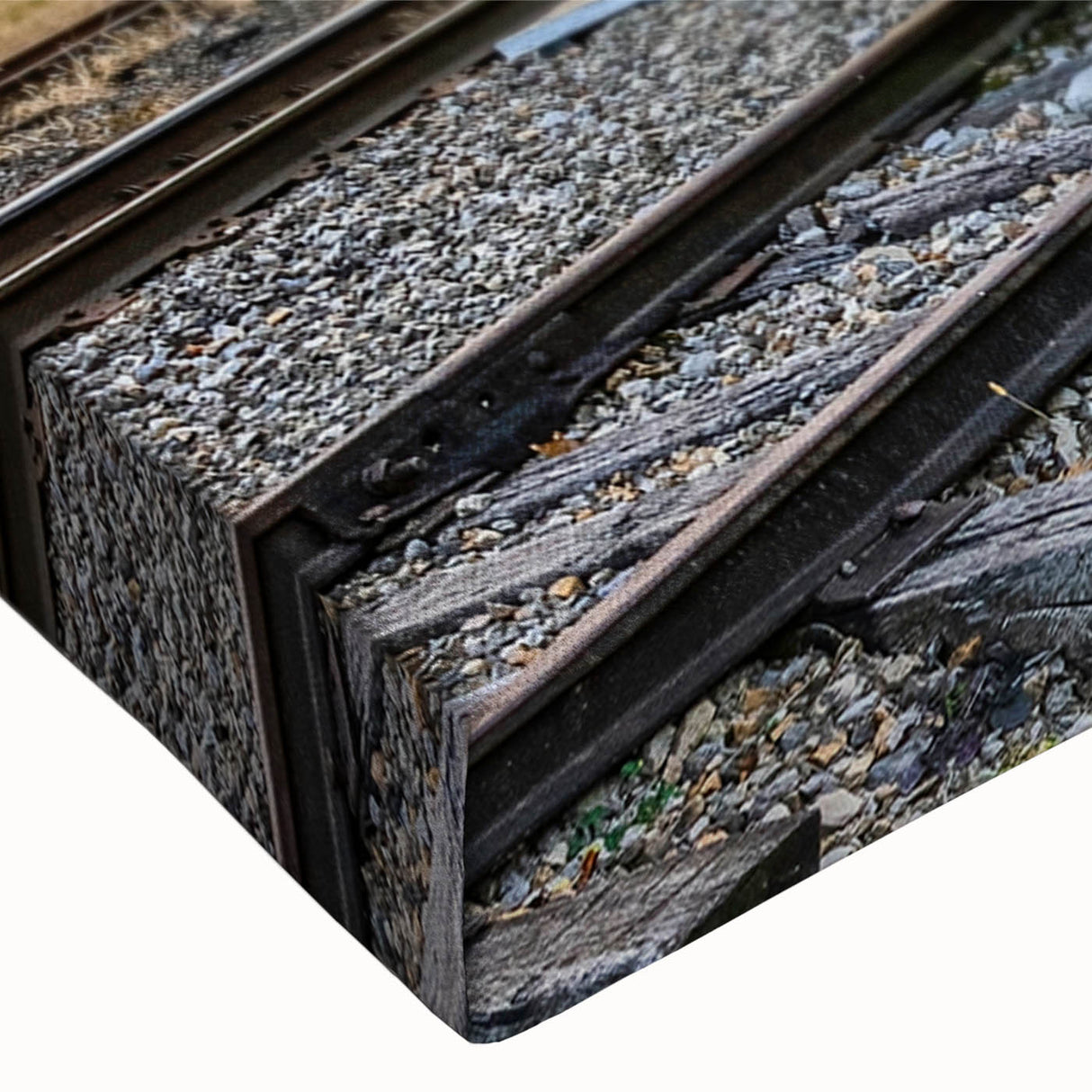 Black and white photo of a train in motion on a stretched canvas, ideal for bedroom landscape art.