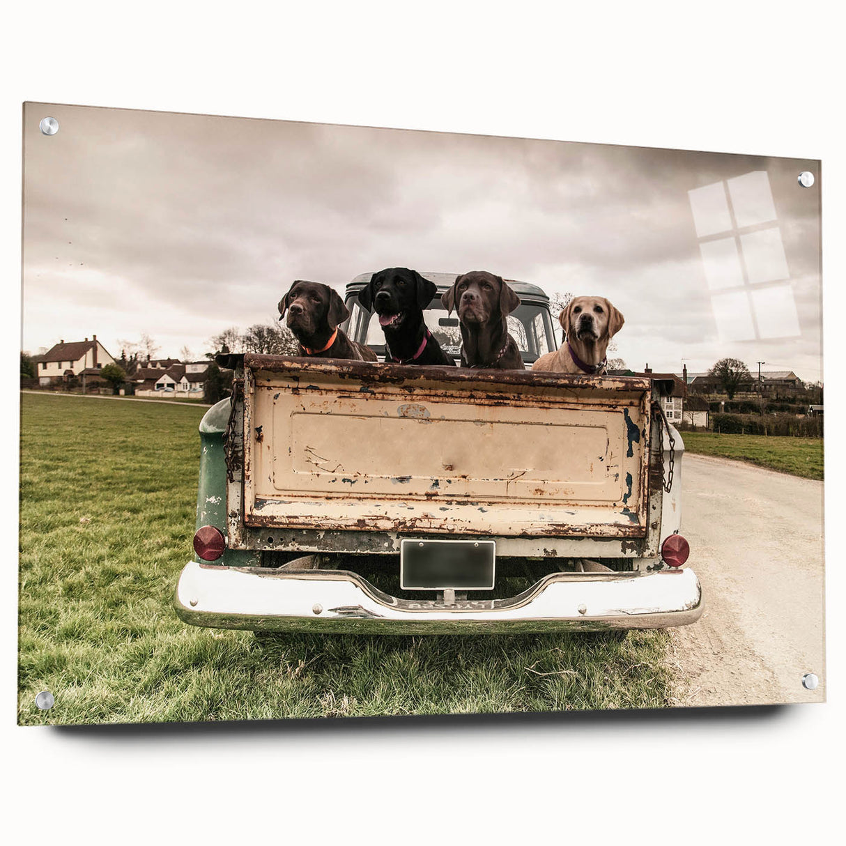 Acrylic print of a collection of colorful abstract trucks, ideal for dining room decor.