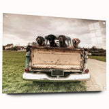 Acrylic print of a collection of colorful abstract trucks, ideal for dining room decor.