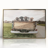 Mid-century modernist art of colorful trucks on gold-framed acrylic, suitable for nursery wall decor.