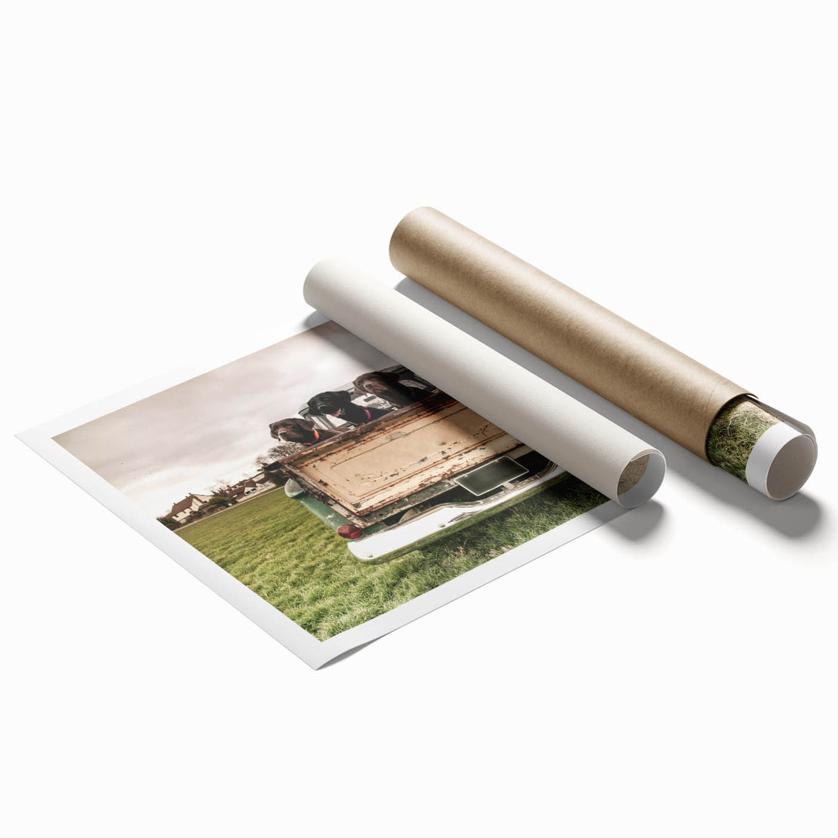 Extra large rolled print featuring a vibrant collection of various trucks.