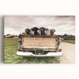 Black and white stretched canvas of vintage trucks in a row, ideal for kitchen wall art.
