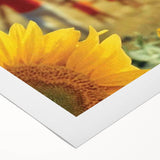 1960s Movie Posters - Le Bonheur | Vintage Film Posters 1960s