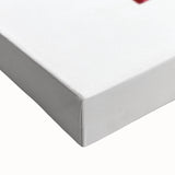 1990s Vintage Movie Poster – Shall We Dance? Classic 90s Film Art