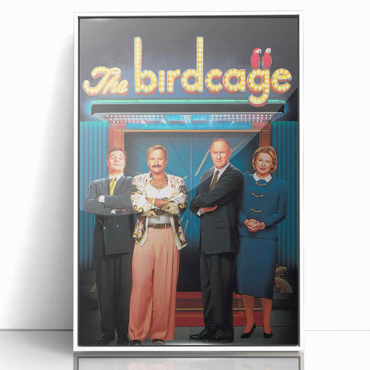 1990s Vintage Movie Poster – Classic 90s Film Art – The Birdcage