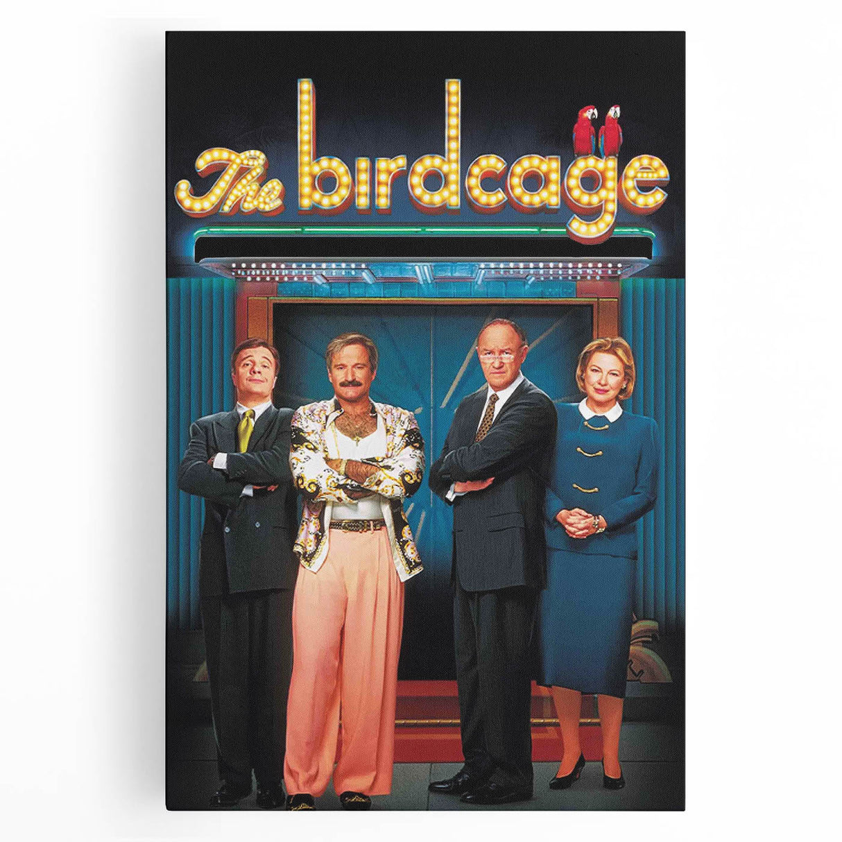 1990s Vintage Movie Poster – Classic 90s Film Art – The Birdcage