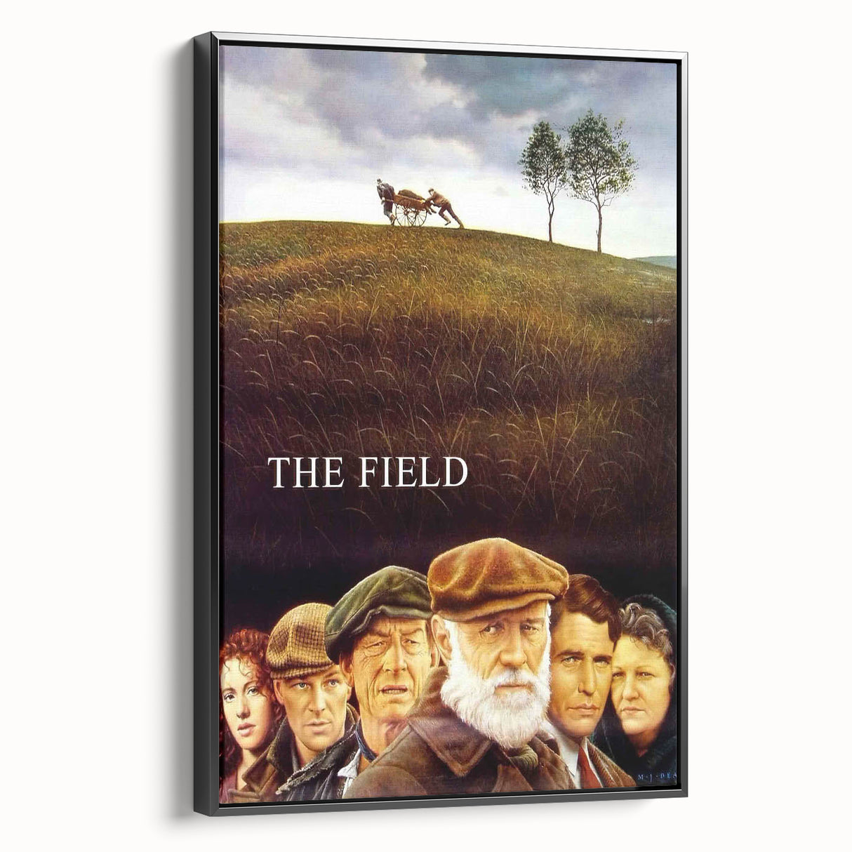 1990s Vintage Movie Poster – Classic 90s Film Art – The Field