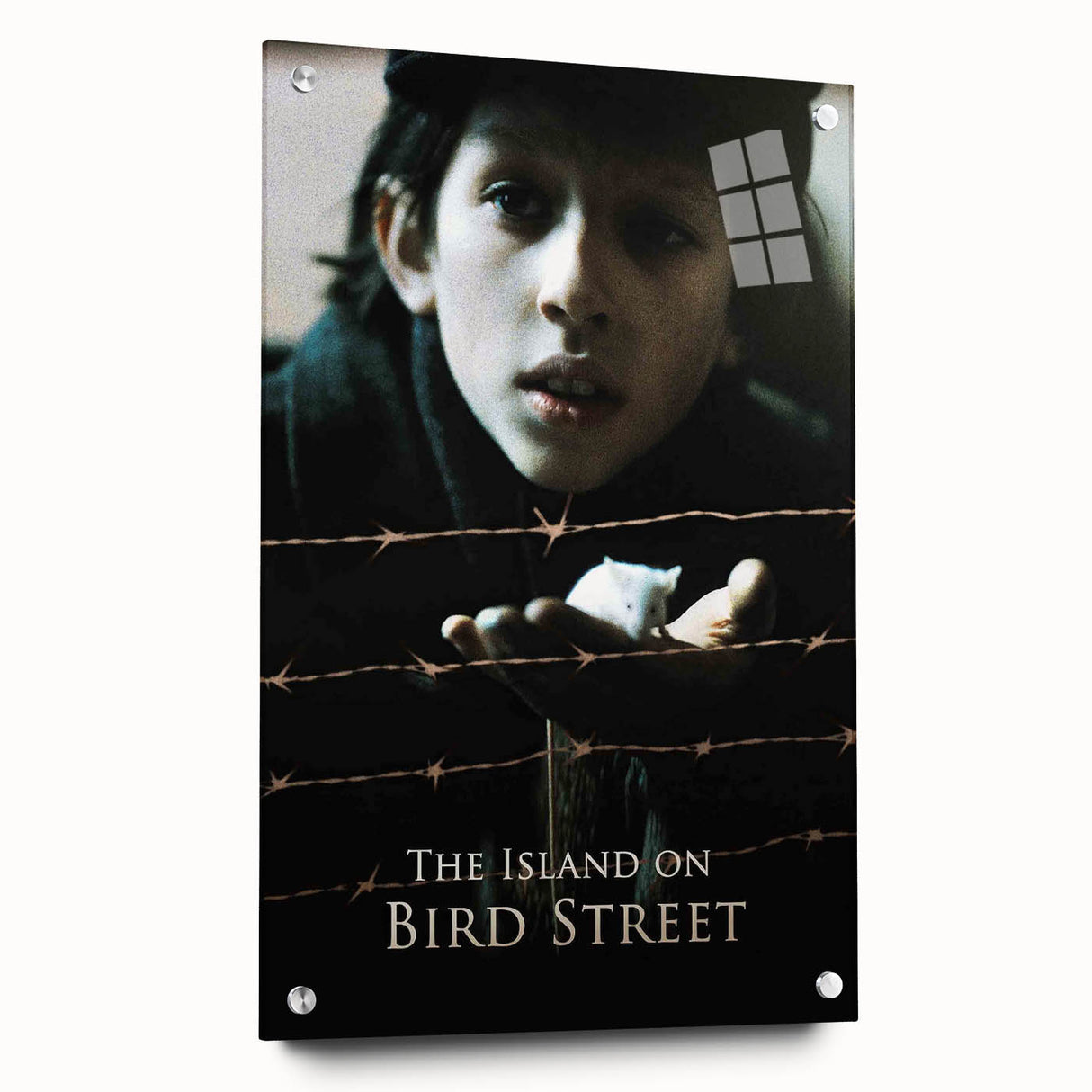 1990s Vintage Movie Poster – The Island on Bird Street Classic 90s Art