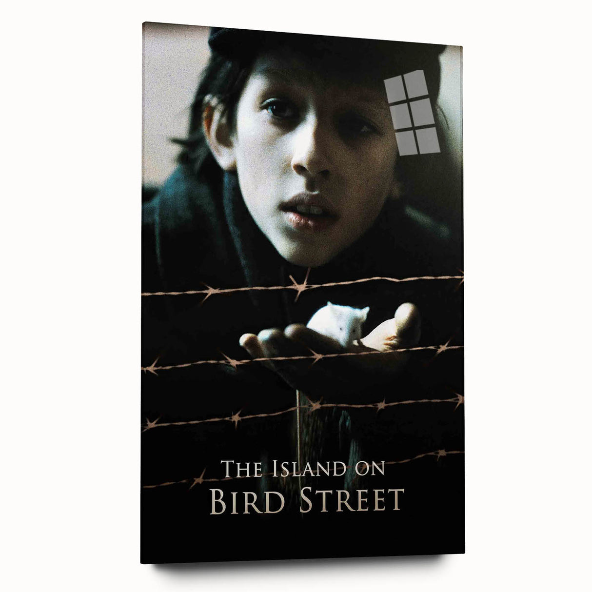 1990s Vintage Movie Poster – The Island on Bird Street Classic 90s Art