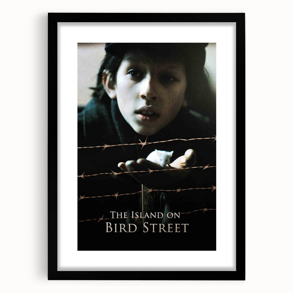 1990s Vintage Movie Poster – The Island on Bird Street Classic 90s Art