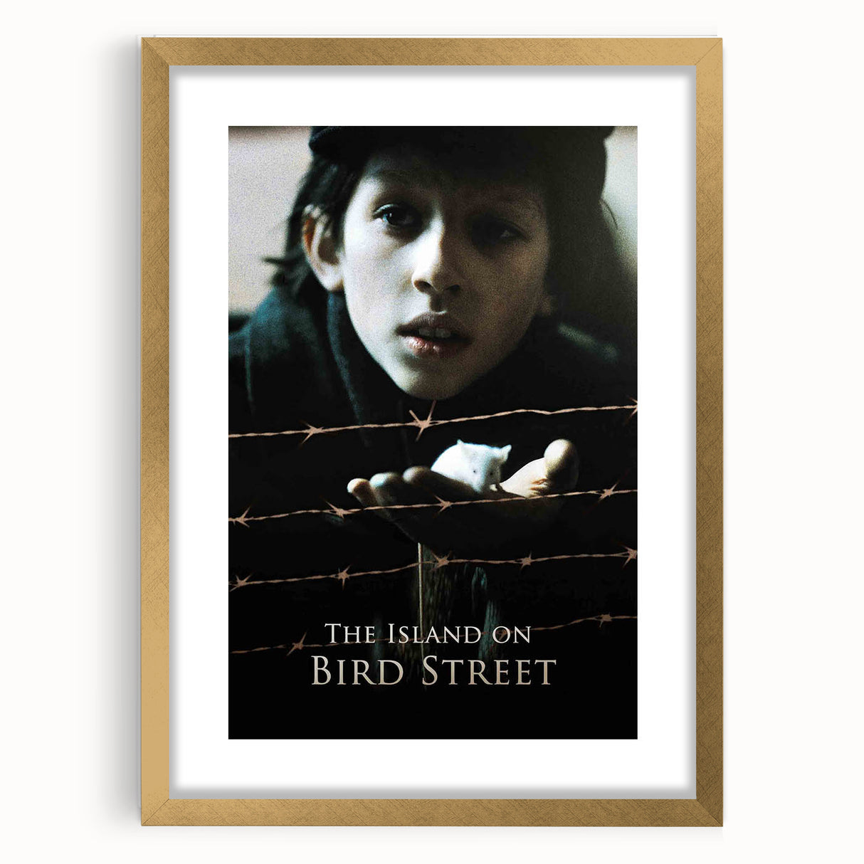 1990s Vintage Movie Poster – The Island on Bird Street Classic 90s Art