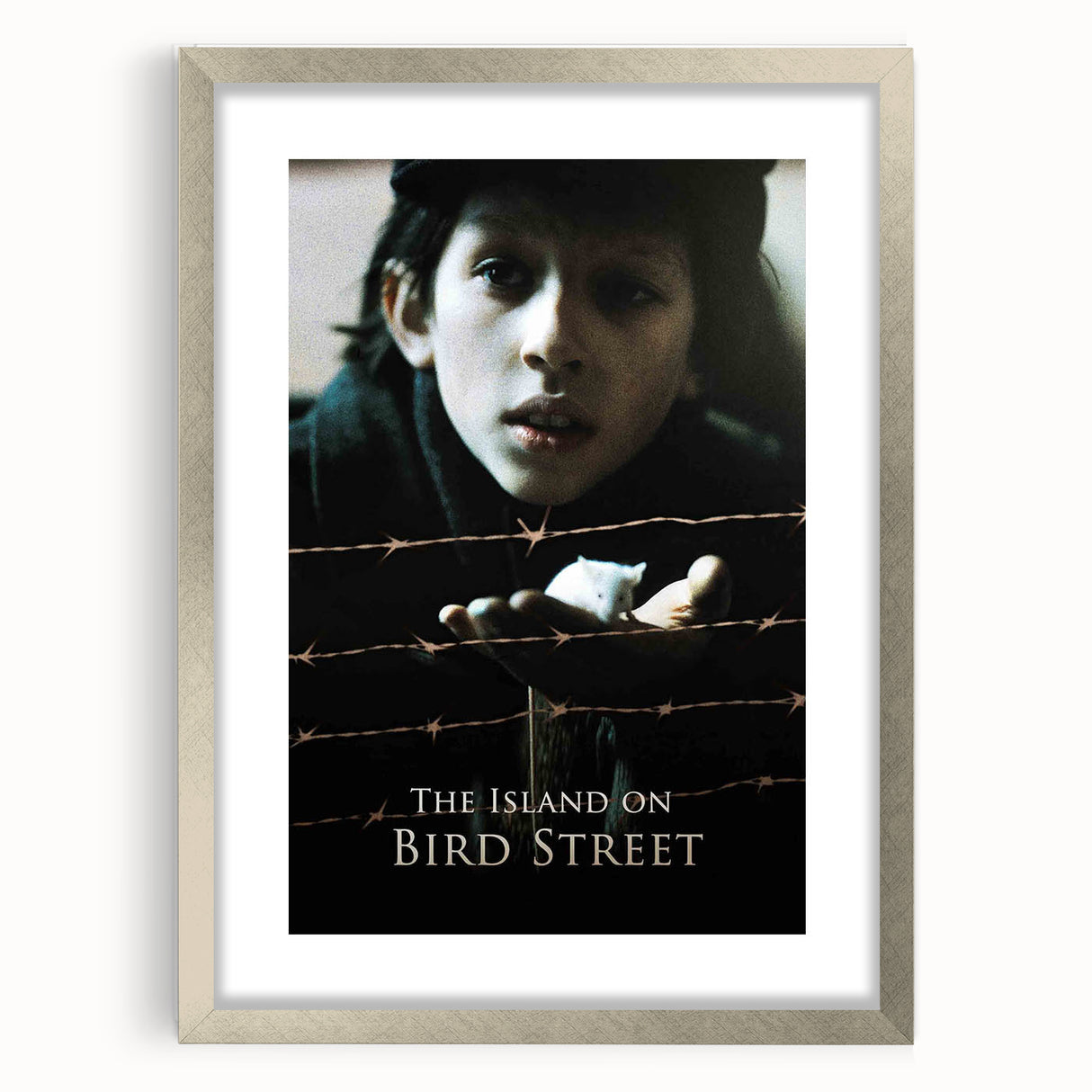 1990s Vintage Movie Poster – The Island on Bird Street Classic 90s Art