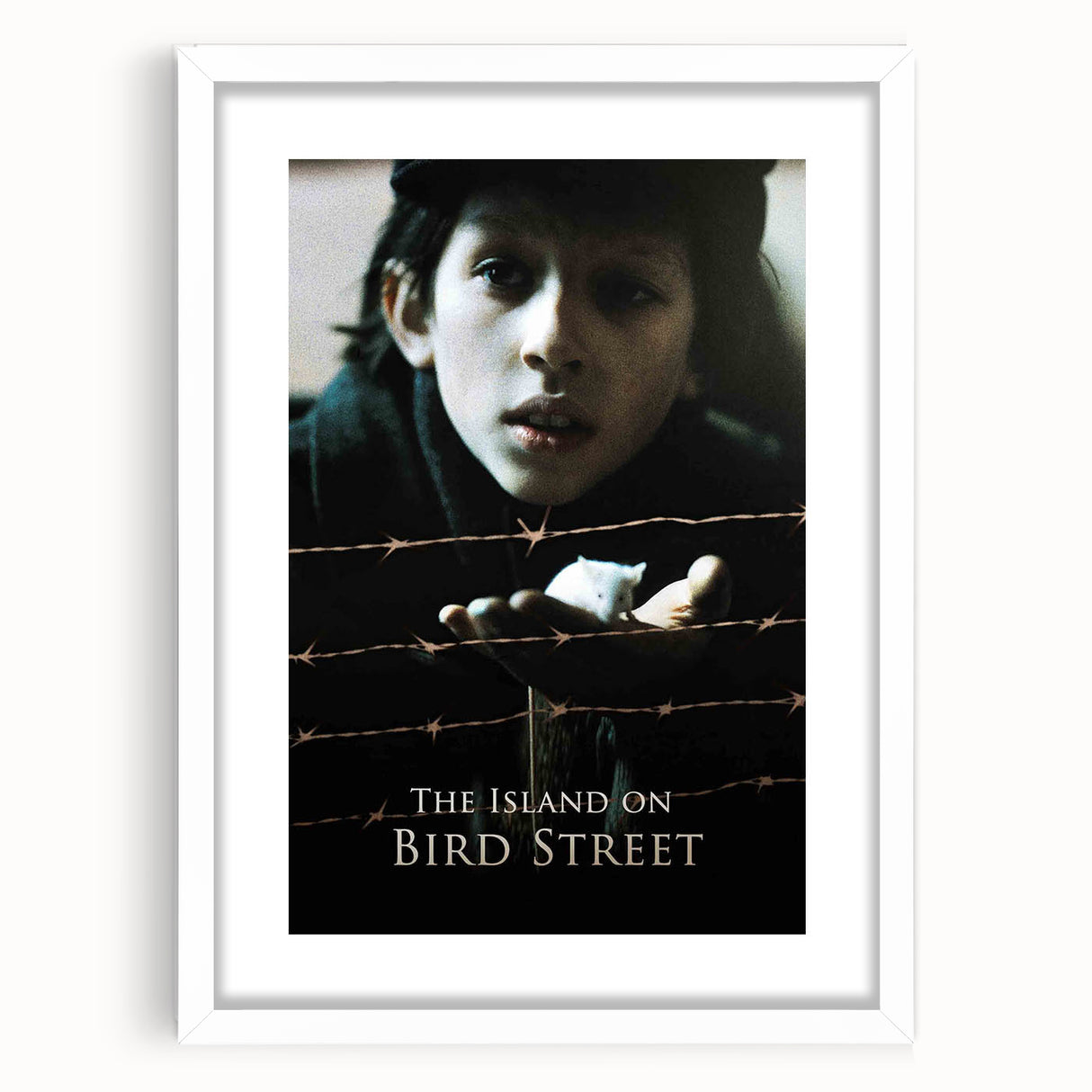 1990s Vintage Movie Poster – The Island on Bird Street Classic 90s Art