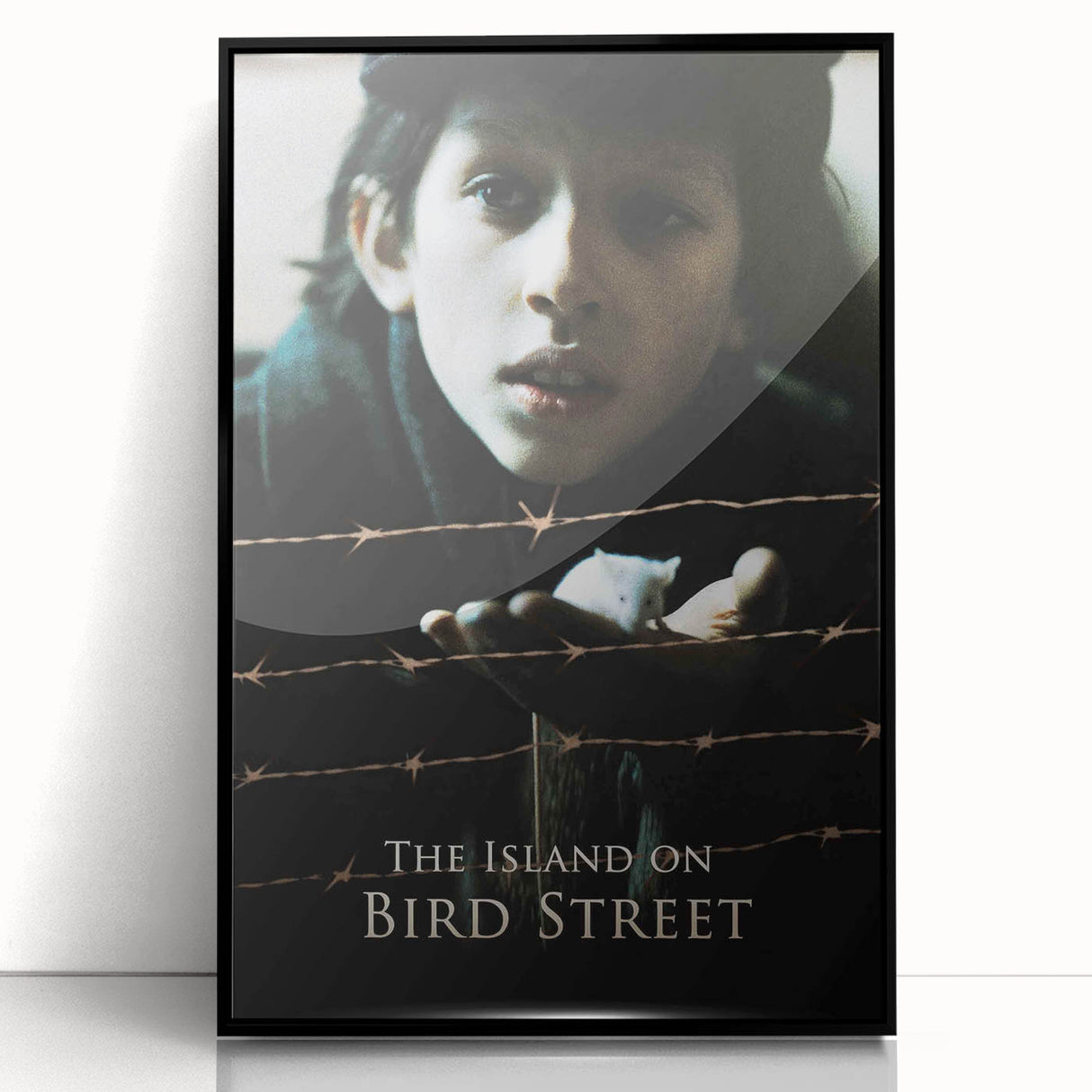 1990s Vintage Movie Poster – The Island on Bird Street Classic 90s Art