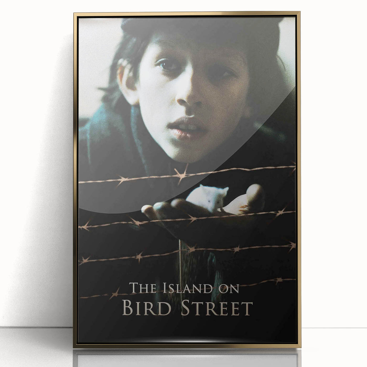1990s Vintage Movie Poster – The Island on Bird Street Classic 90s Art