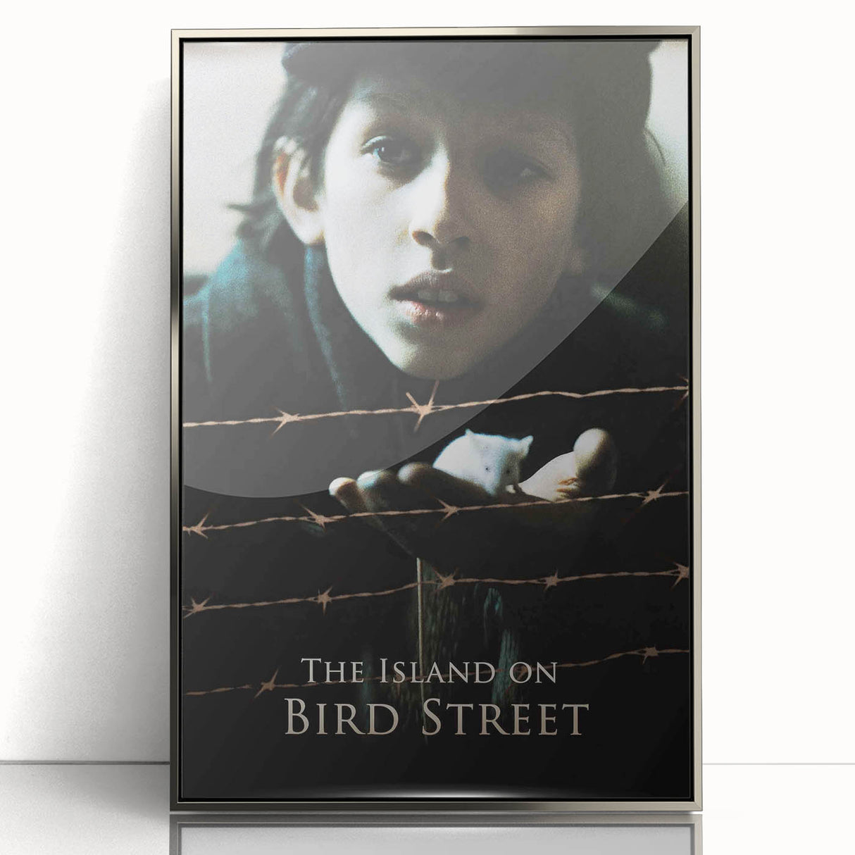 1990s Vintage Movie Poster – The Island on Bird Street Classic 90s Art
