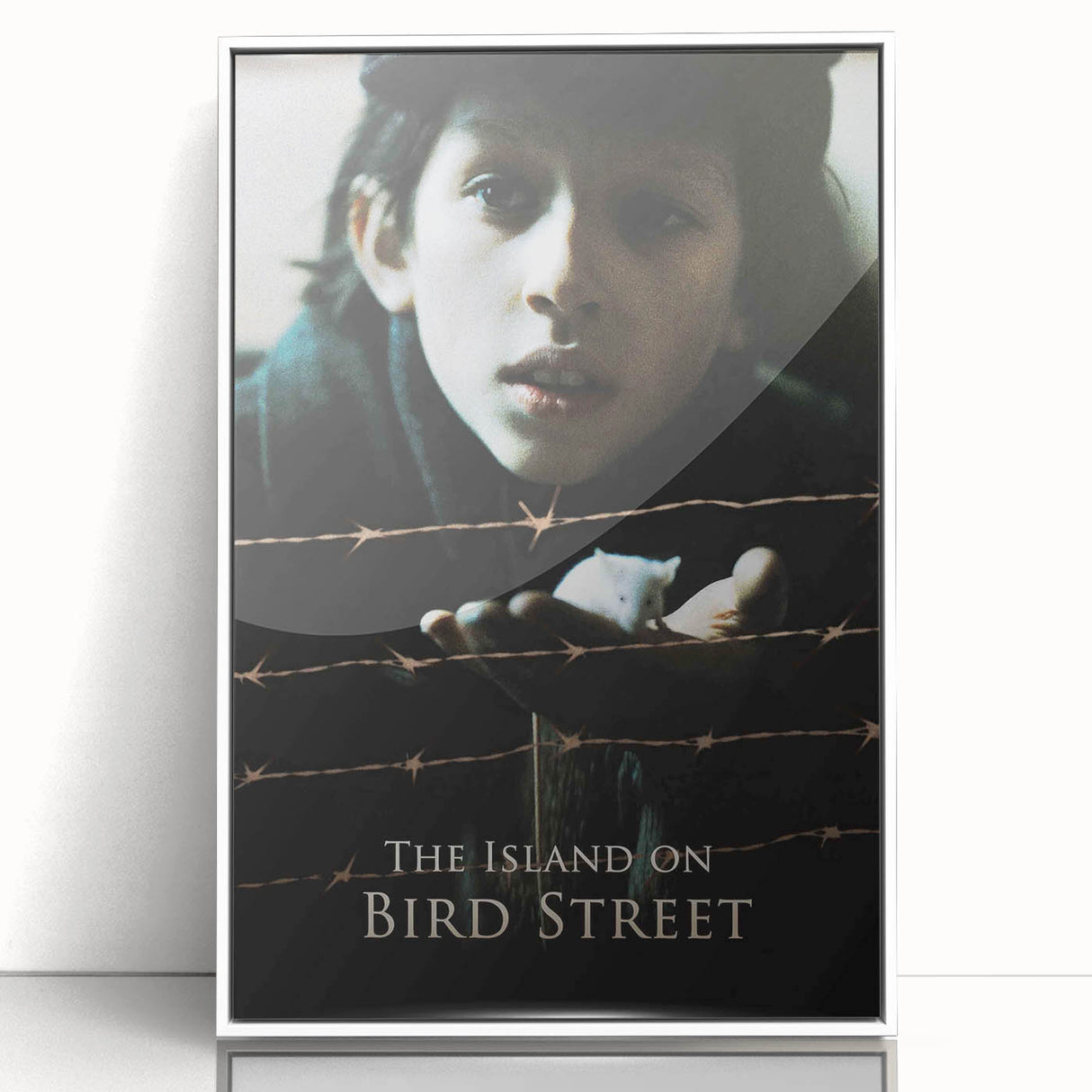 1990s Vintage Movie Poster – The Island on Bird Street Classic 90s Art