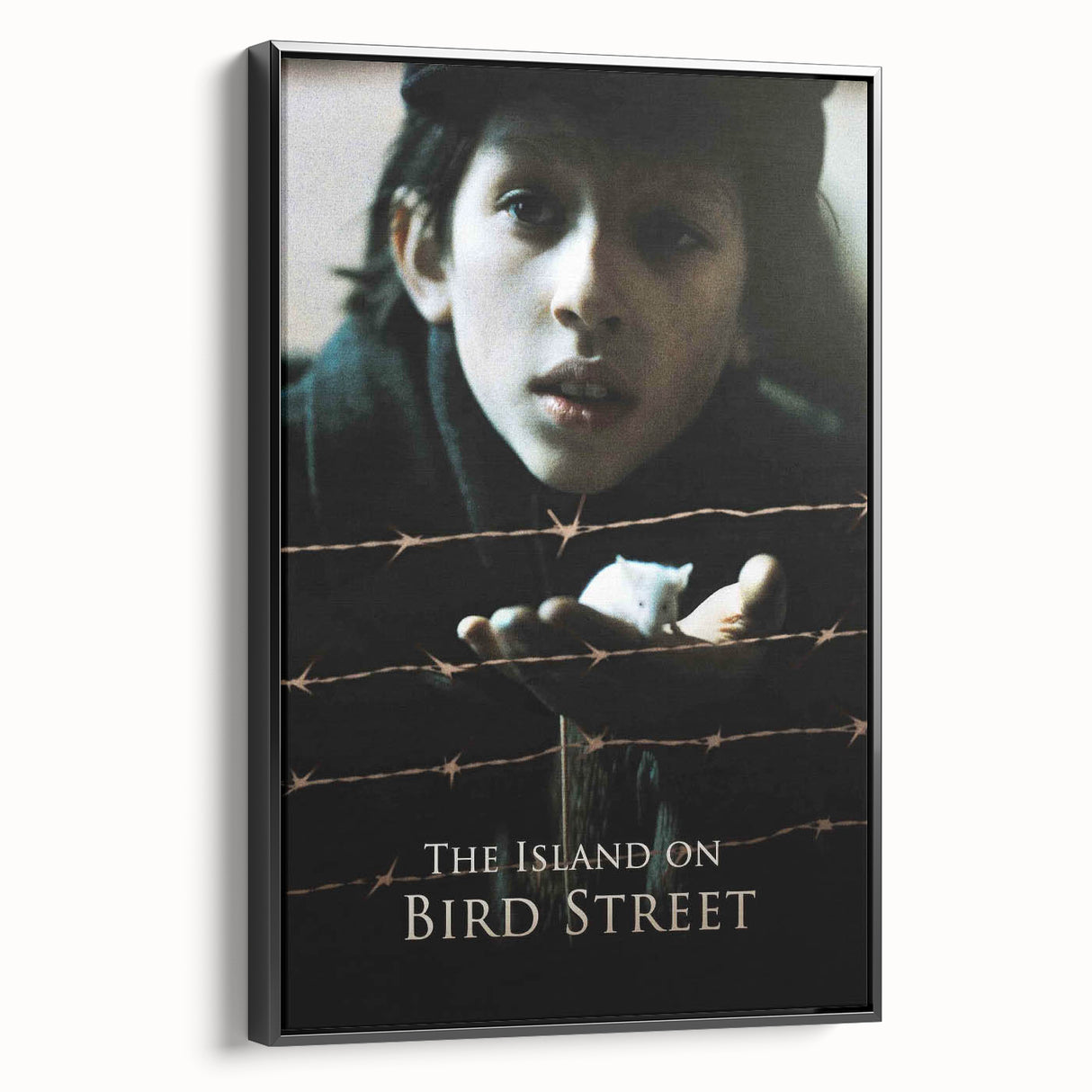 1990s Vintage Movie Poster – The Island on Bird Street Classic 90s Art