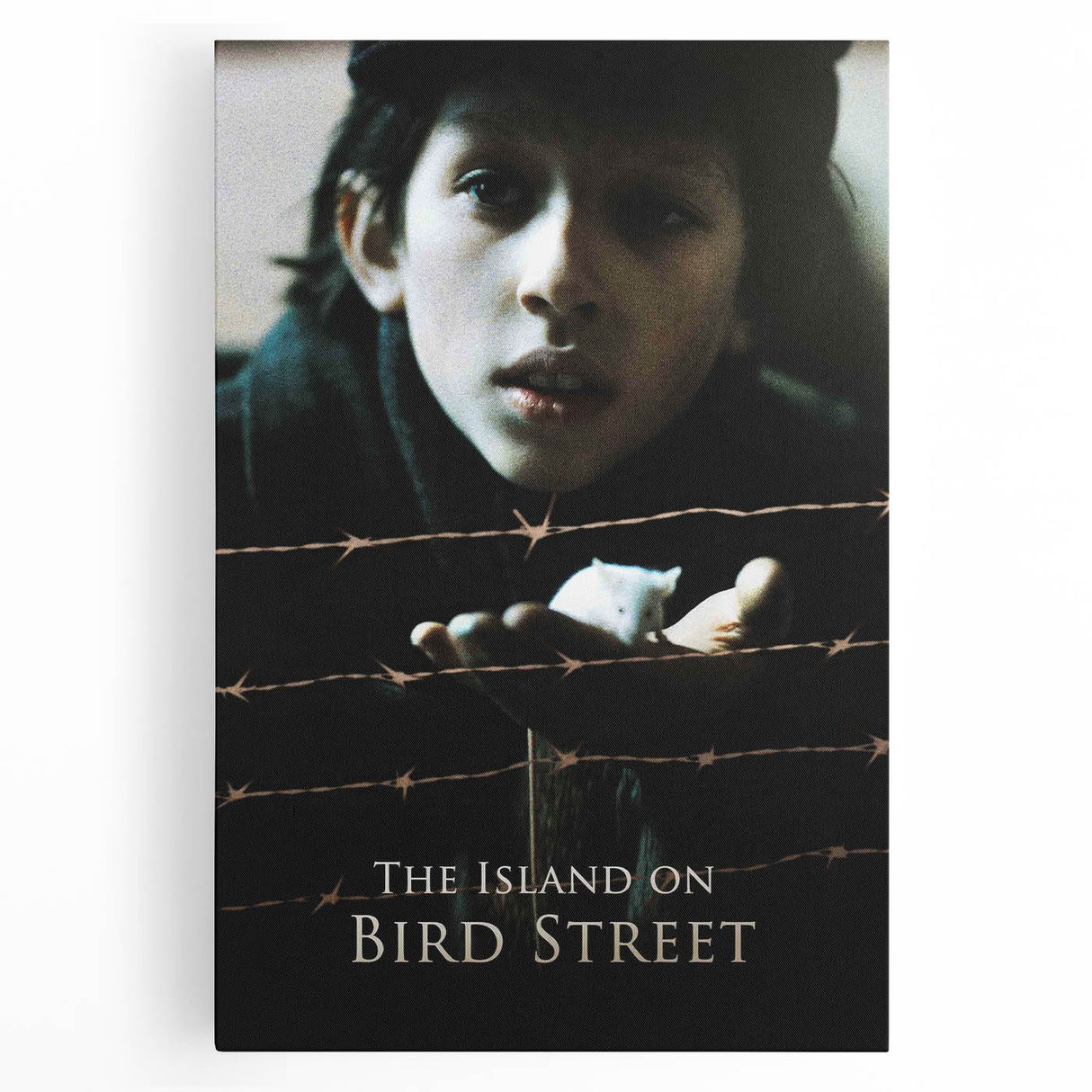 1990s Vintage Movie Poster – The Island on Bird Street Classic 90s Art