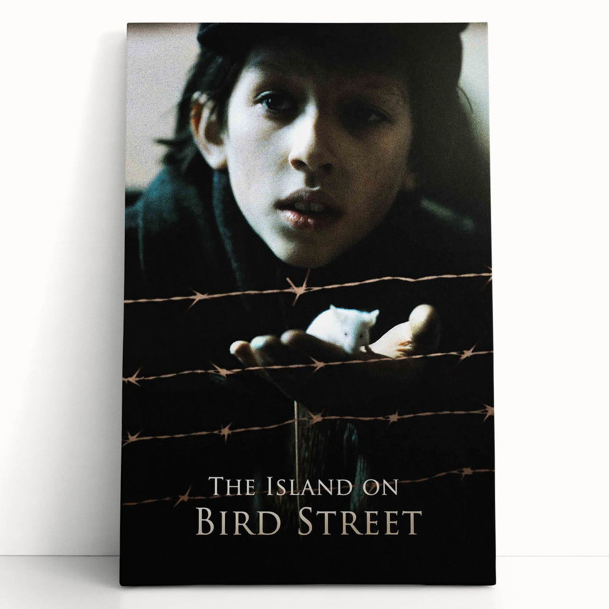 1990s Vintage Movie Poster – The Island on Bird Street Classic 90s Art