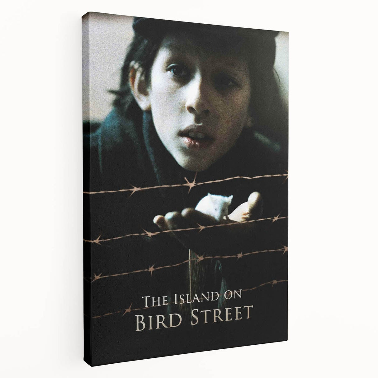 1990s Vintage Movie Poster – The Island on Bird Street Classic 90s Art