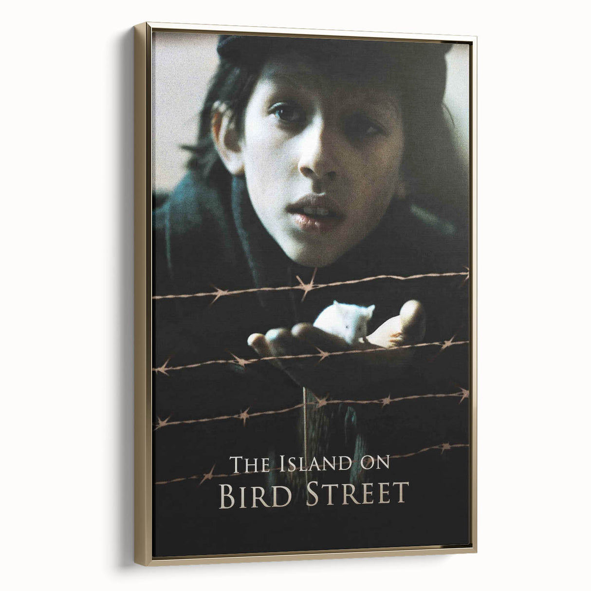 1990s Vintage Movie Poster – The Island on Bird Street Classic 90s Art