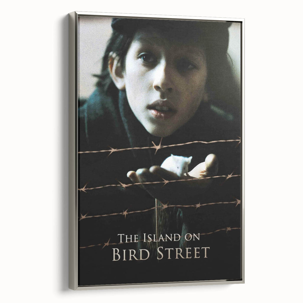 1990s Vintage Movie Poster – The Island on Bird Street Classic 90s Art