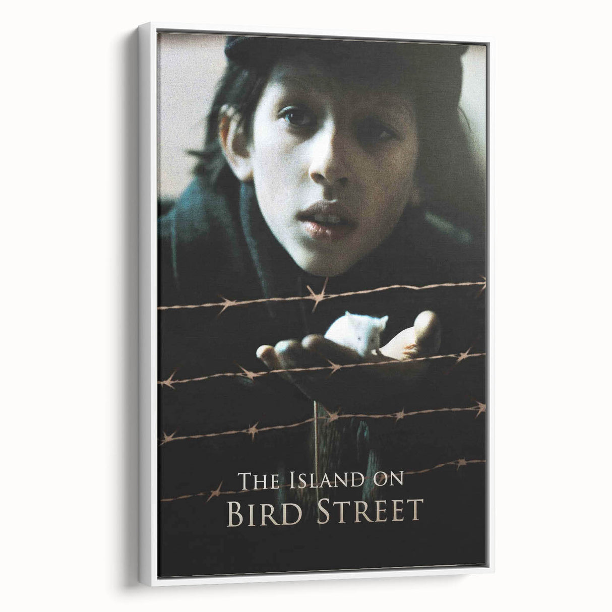 1990s Vintage Movie Poster – The Island on Bird Street Classic 90s Art