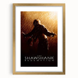 1990s Vintage Movie Poster - Classic 90s Film Art - The Shawshank Redemption