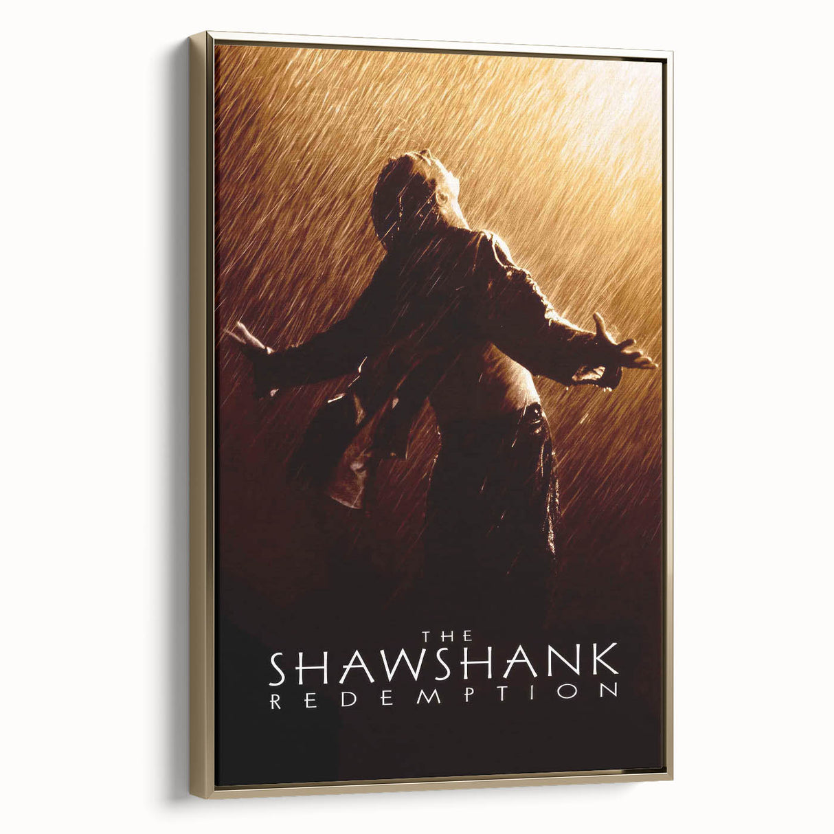 1990s Vintage Movie Poster - Classic 90s Film Art - The Shawshank Redemption