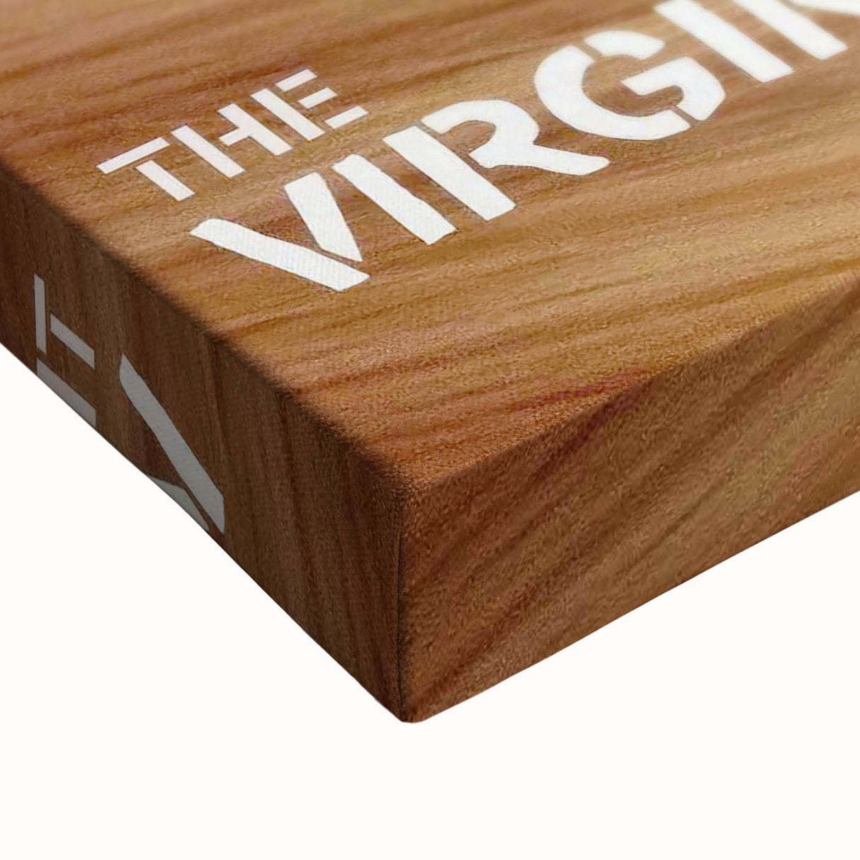 1990s Vintage Movie Poster - Classic 90s Film Art - The Virgin Suicides