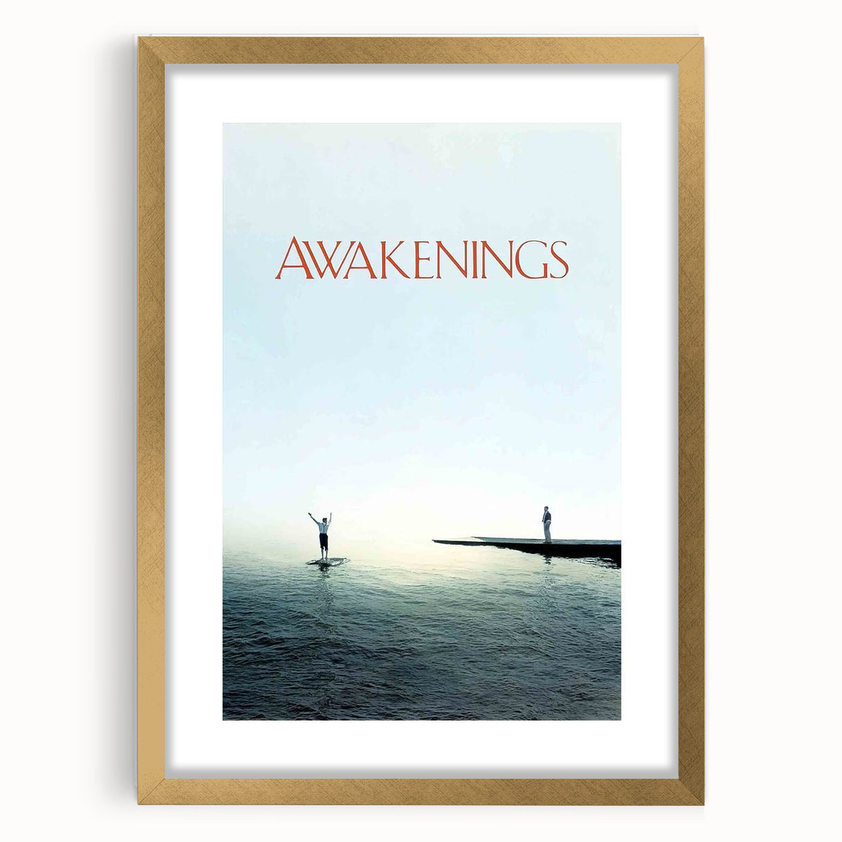 1990s Vintage Movie Poster – Awakenings Classic 90s Film Artwork