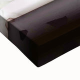 Classic 2000s Film Art - Ricky Gervais Live Animals Movie Poster