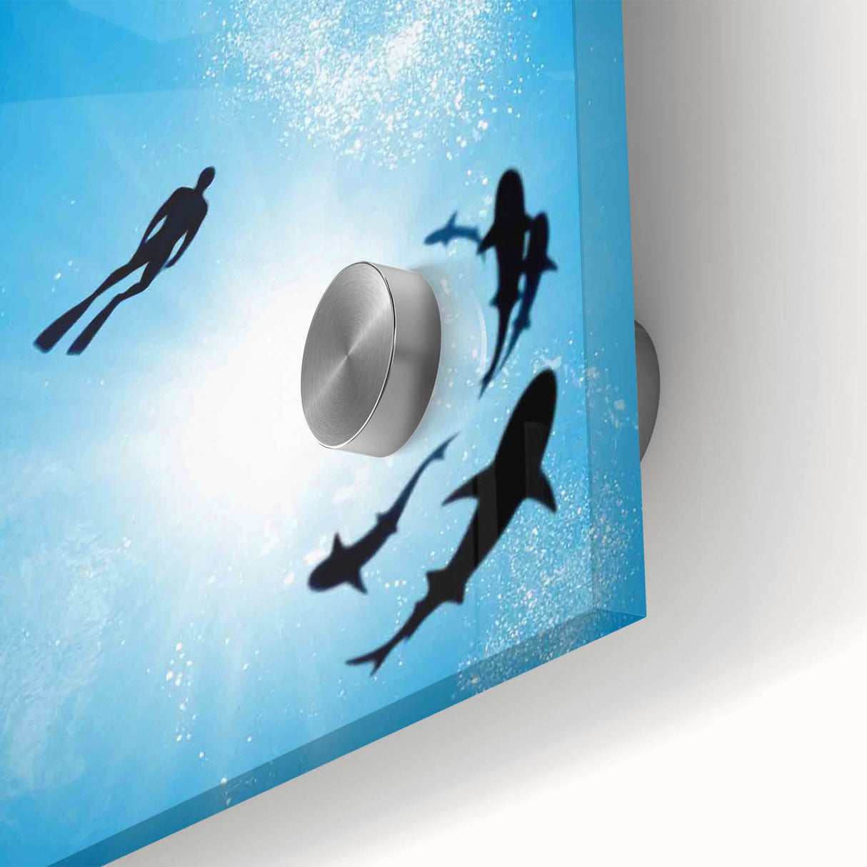 2000s Vintage Movie Posters - Sharkwater Documentary Wall Art