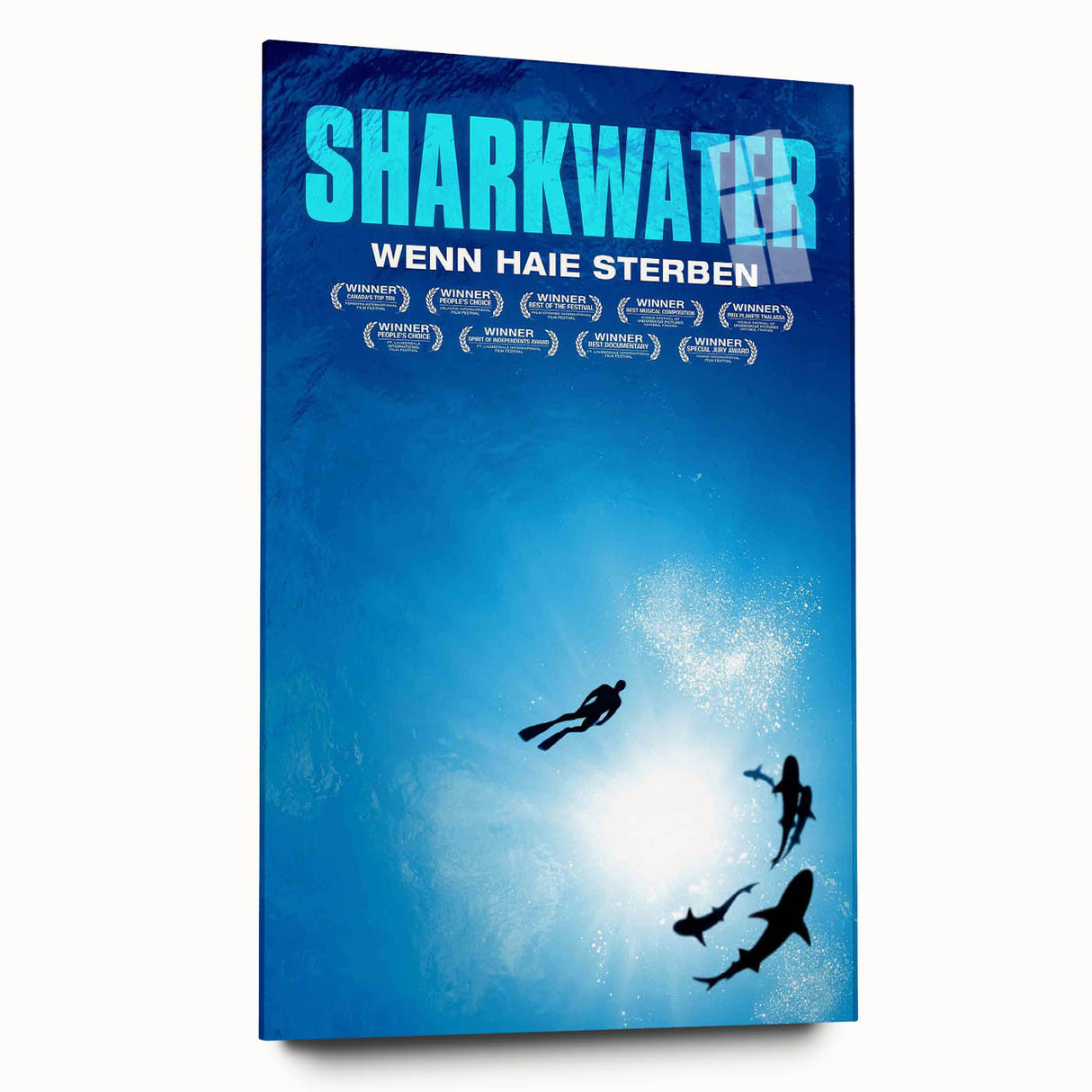 2000s Vintage Movie Posters - Sharkwater Documentary Wall Art