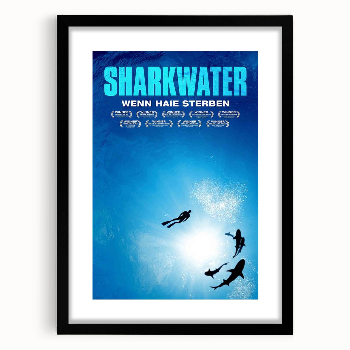 2000s Vintage Movie Posters - Sharkwater Documentary Wall Art