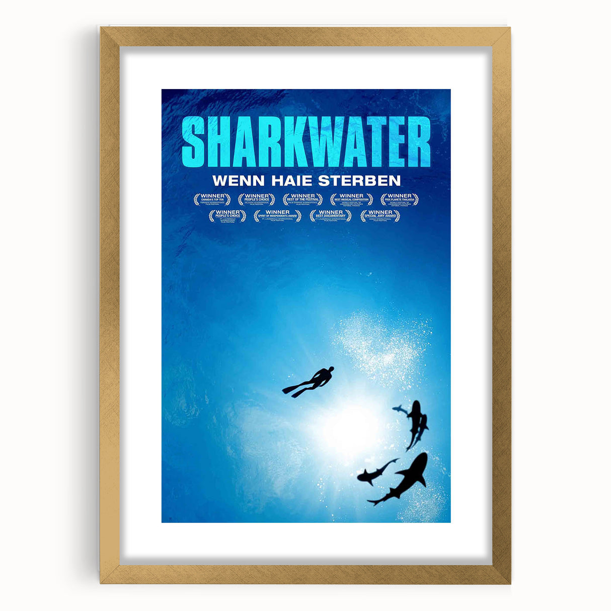 2000s Vintage Movie Posters - Sharkwater Documentary Wall Art