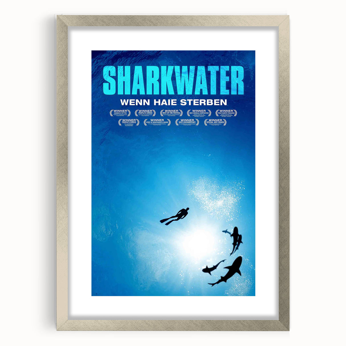 2000s Vintage Movie Posters - Sharkwater Documentary Wall Art