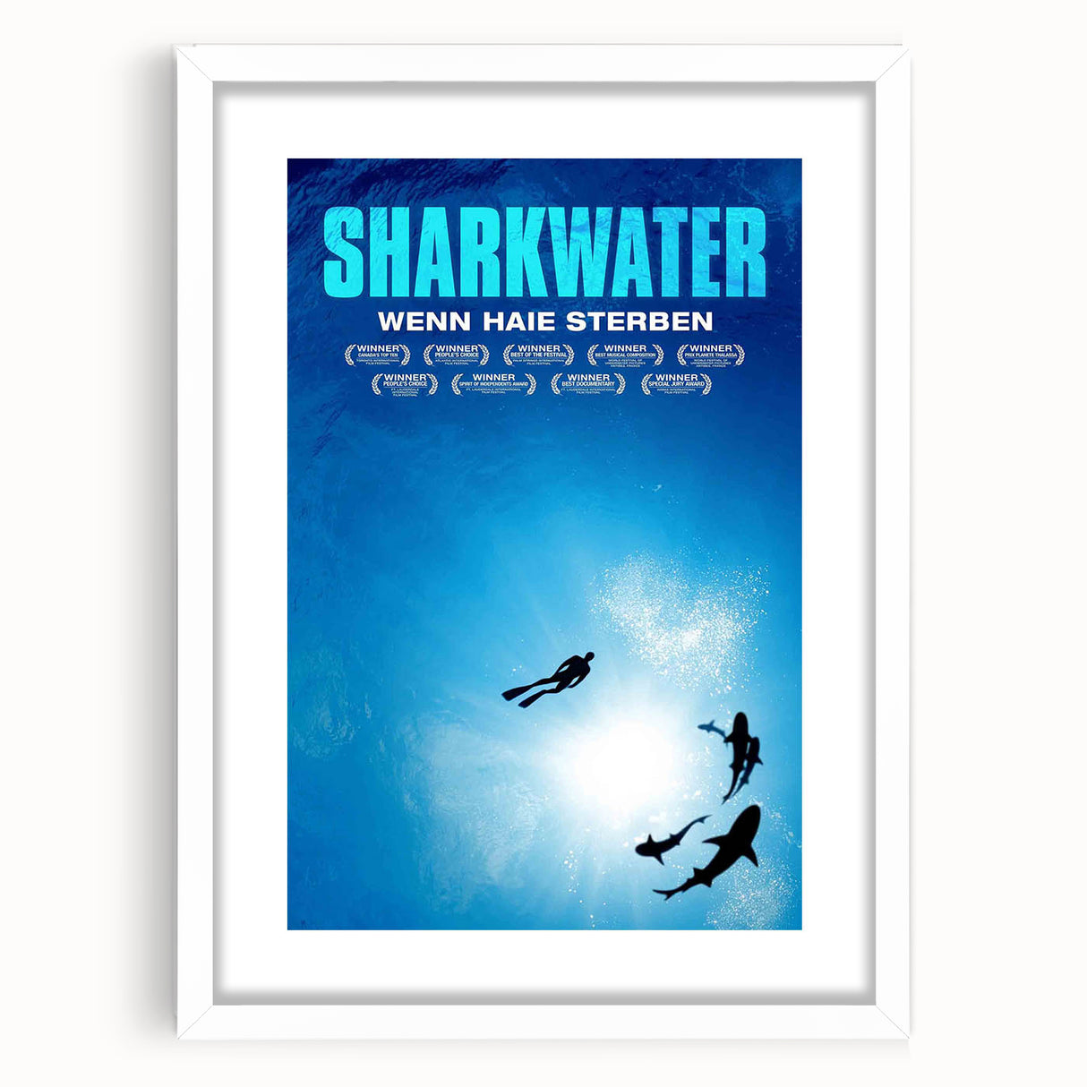 2000s Vintage Movie Posters - Sharkwater Documentary Wall Art