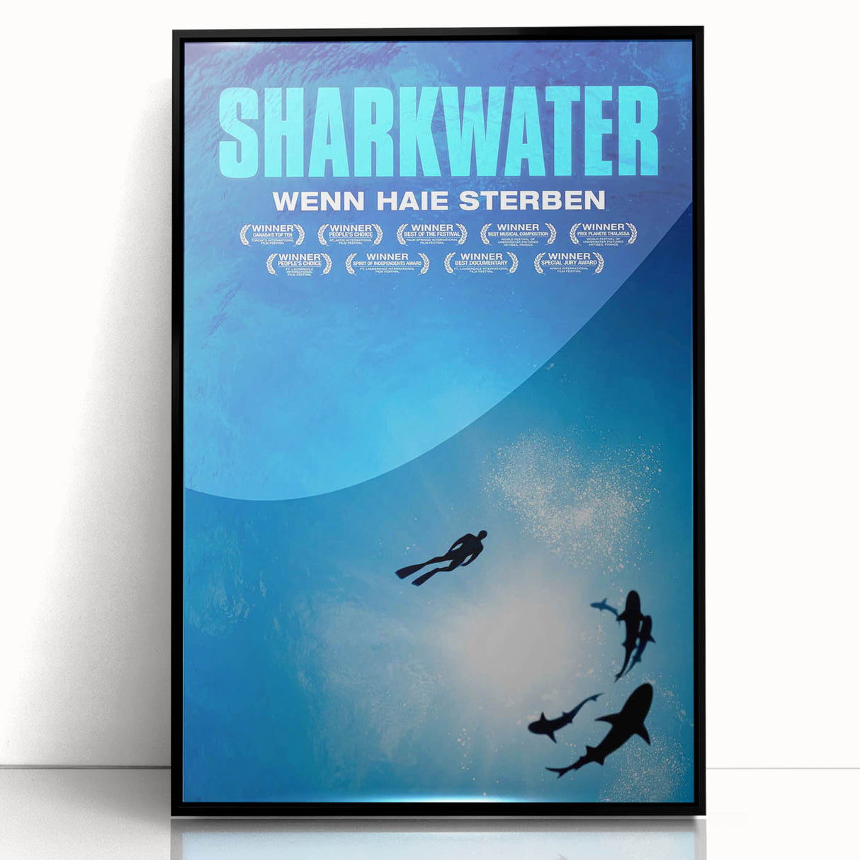2000s Vintage Movie Posters - Sharkwater Documentary Wall Art