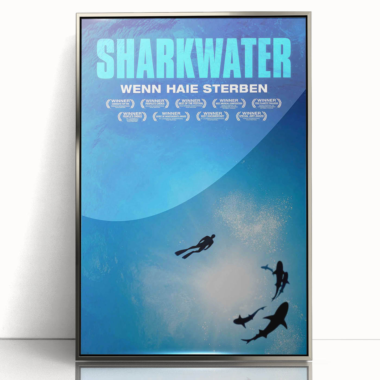 2000s Vintage Movie Posters - Sharkwater Documentary Wall Art