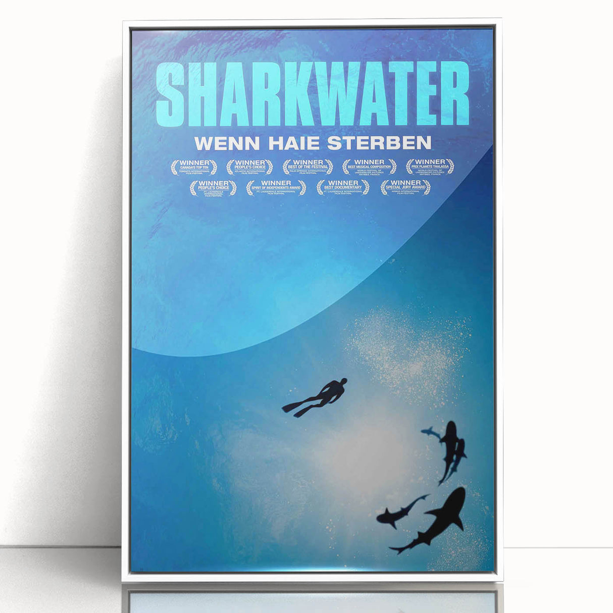 2000s Vintage Movie Posters - Sharkwater Documentary Wall Art