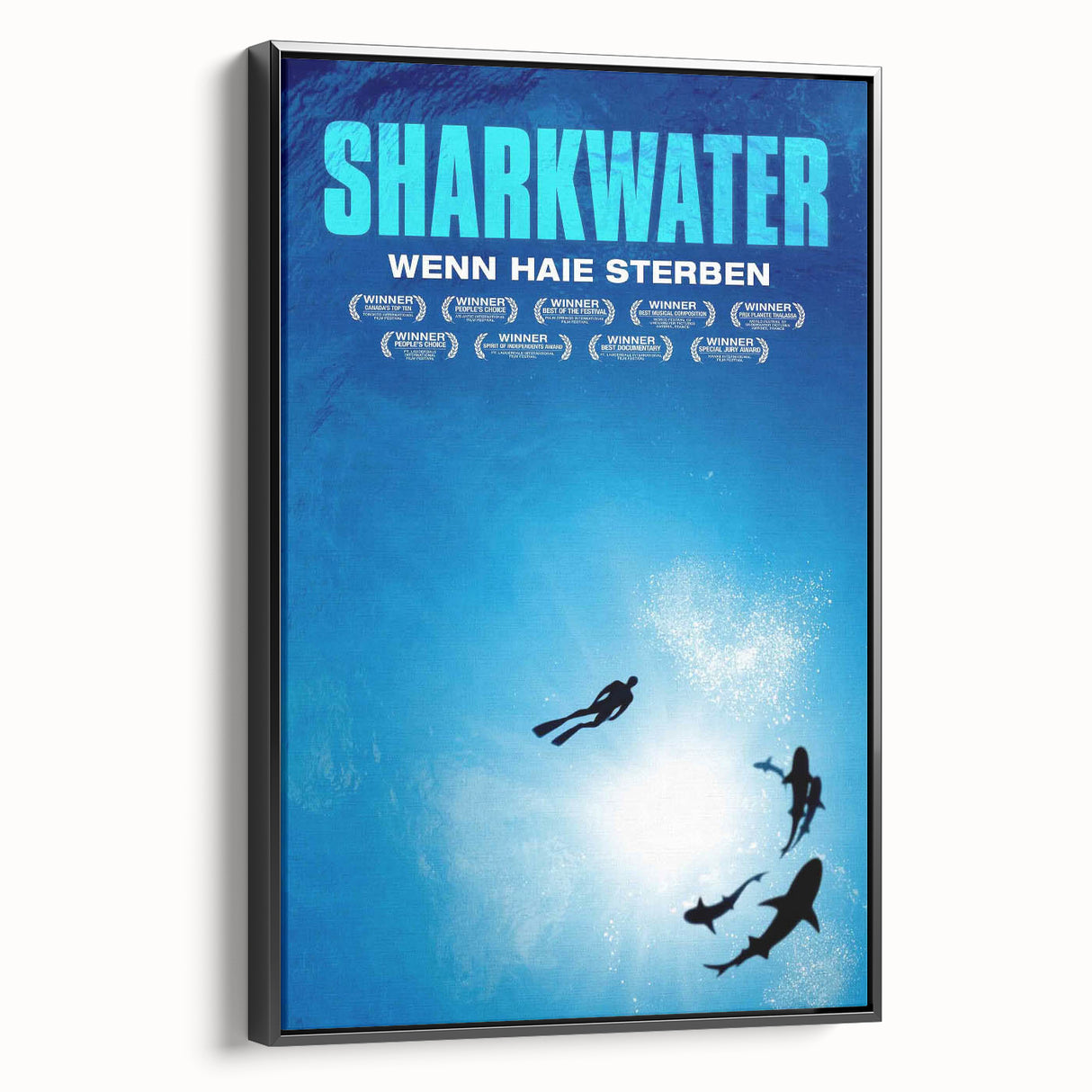 2000s Vintage Movie Posters - Sharkwater Documentary Wall Art
